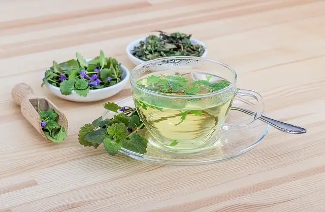 mięta i inne zioła domowe w herbacie